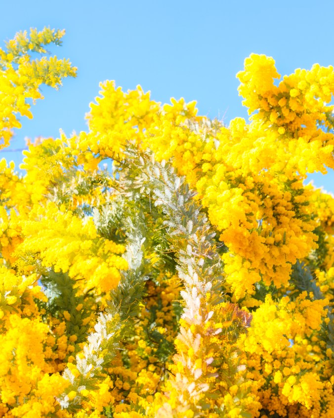 病院の待ち時間をストレス無く過ごす方法